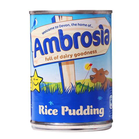 Ambrosia Rice Pudding