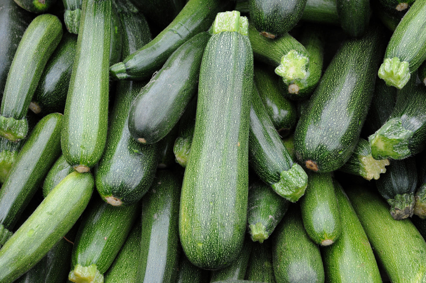 Courgettes
