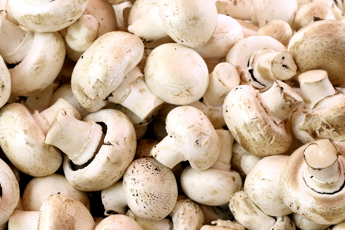 Mushrooms ( Full Punnet 2.27kg)