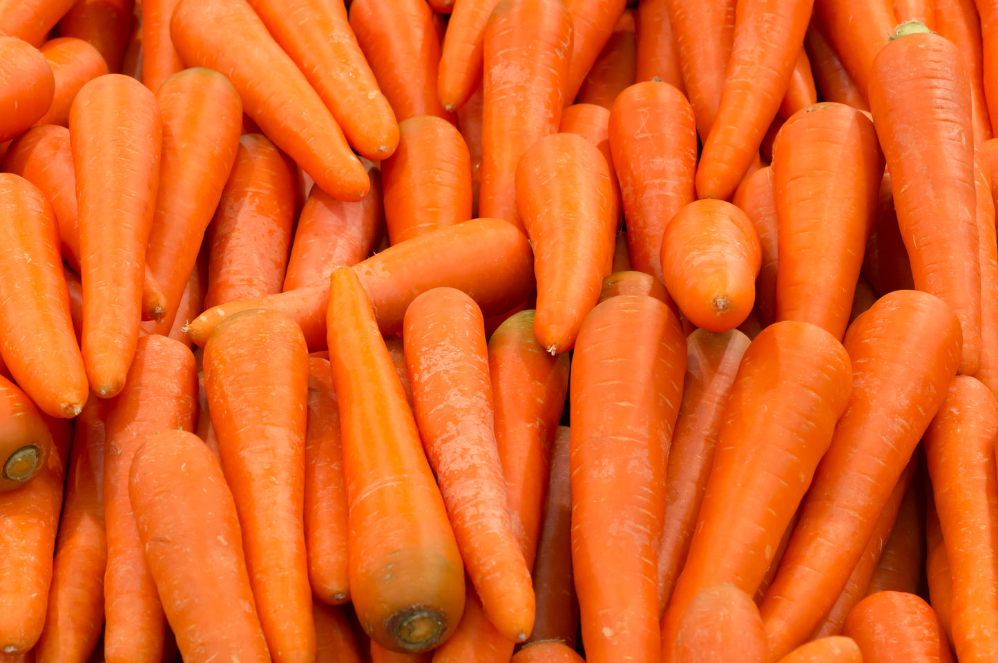 Carrots (polished) 750g