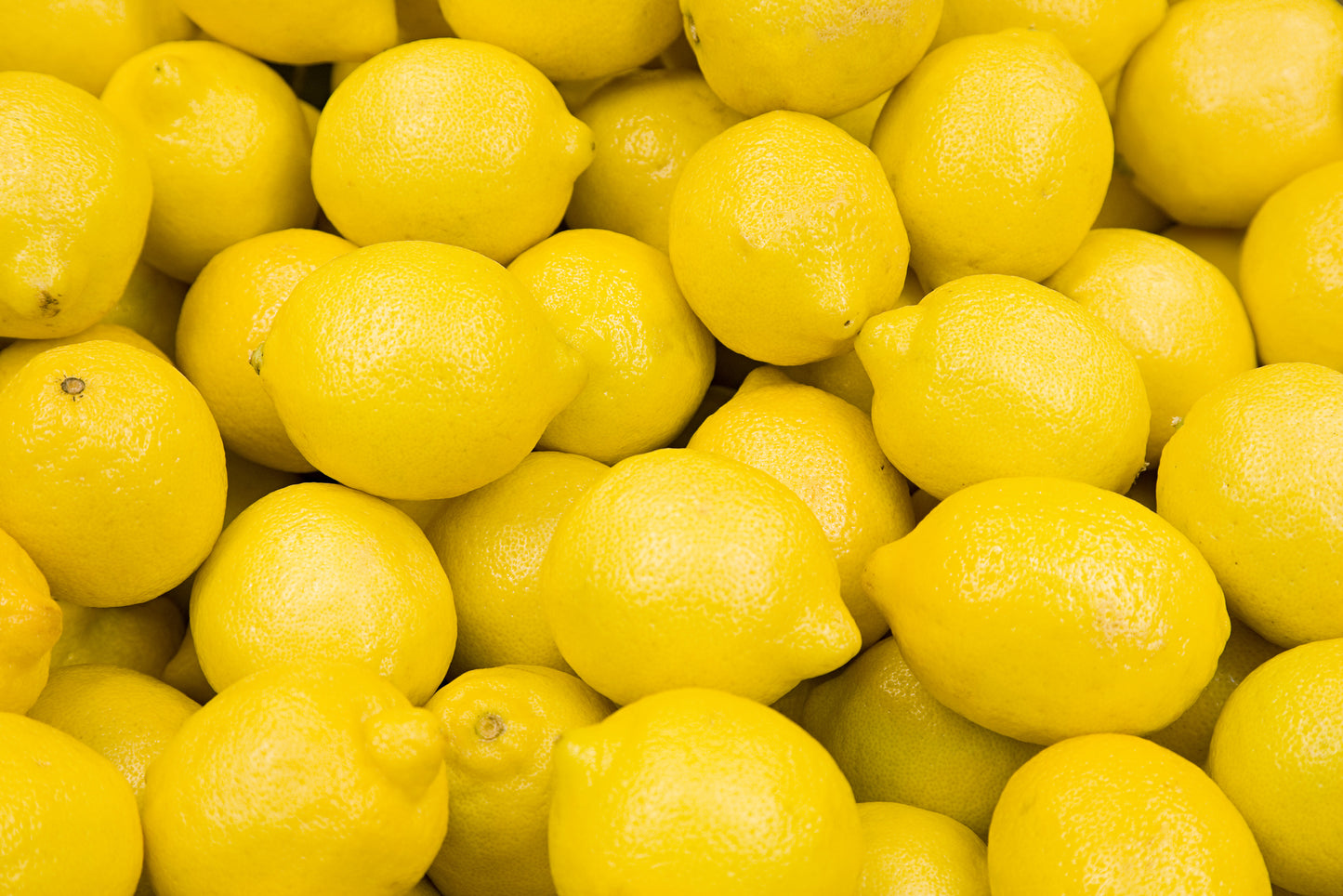 Lemons x 4