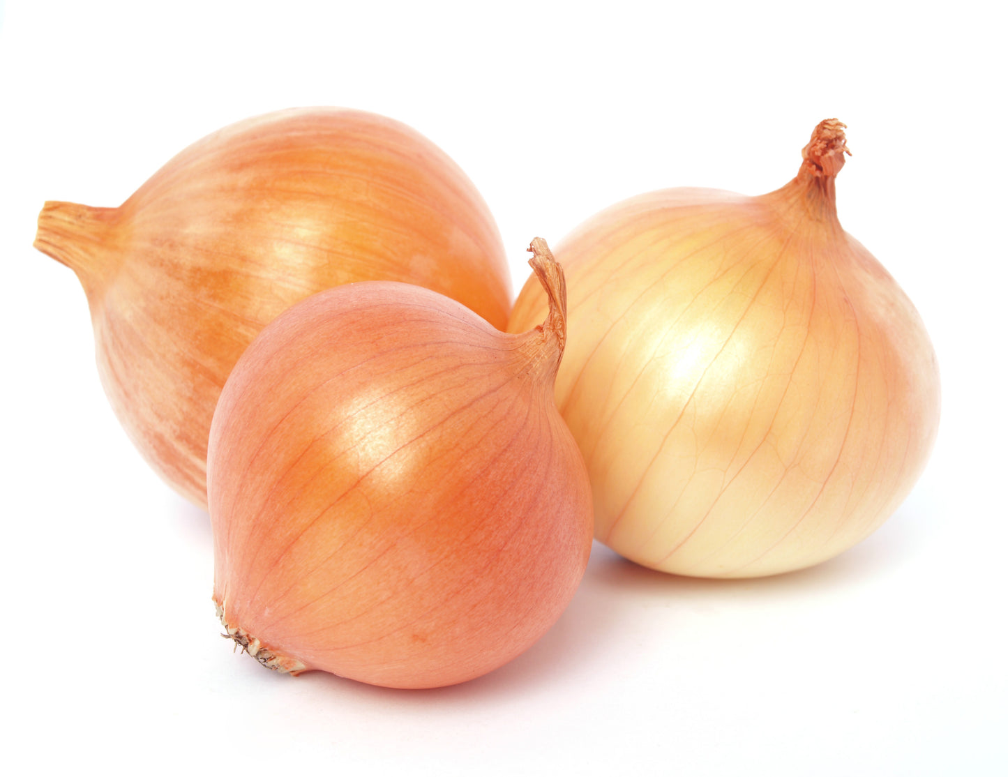White Onions (1kg)